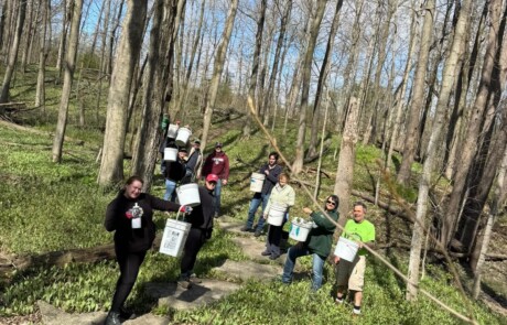 Garlic Mustard Pull